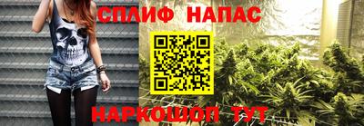 гашик Бузулук